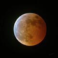 Blood Moon